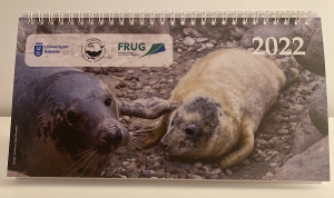 Kalendarz biurkowy z fokami 2022