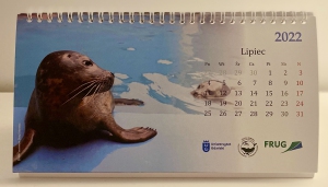 Kalendarz biurkowy z fokami 2022